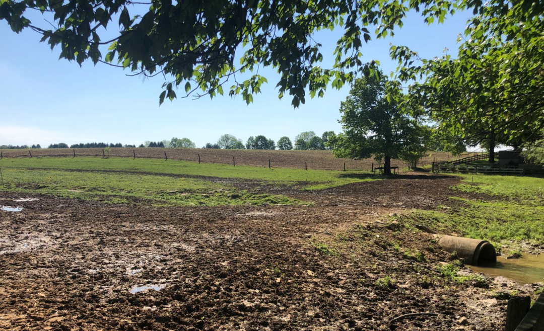 Young Farmer Prioritizes Conservation in East Lampeter