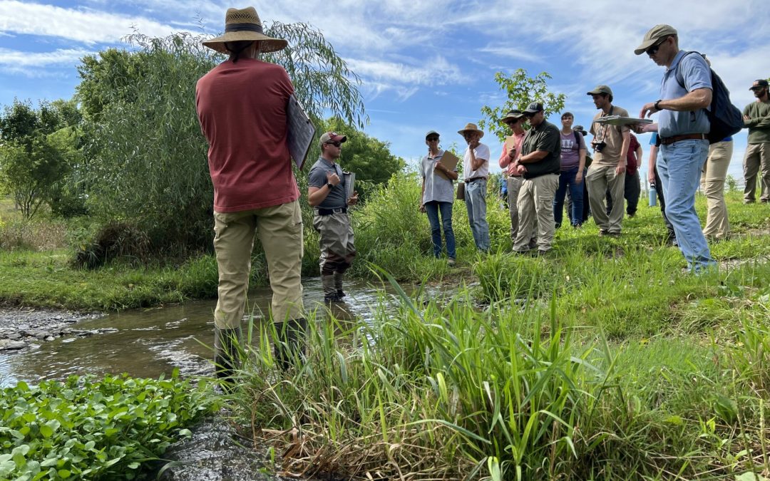 Habitat Assessment Training for Delisting Streams