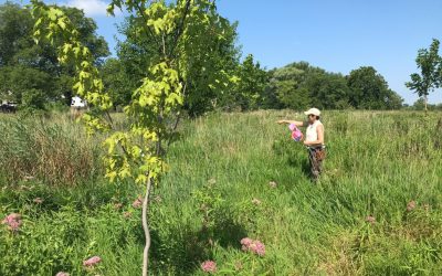 Never Too Late: Starting an environmental career at 58