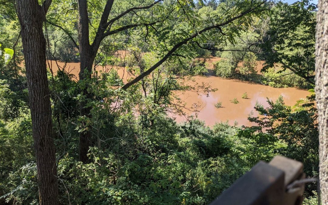Protecting Riparian Buffers from Strong Storms