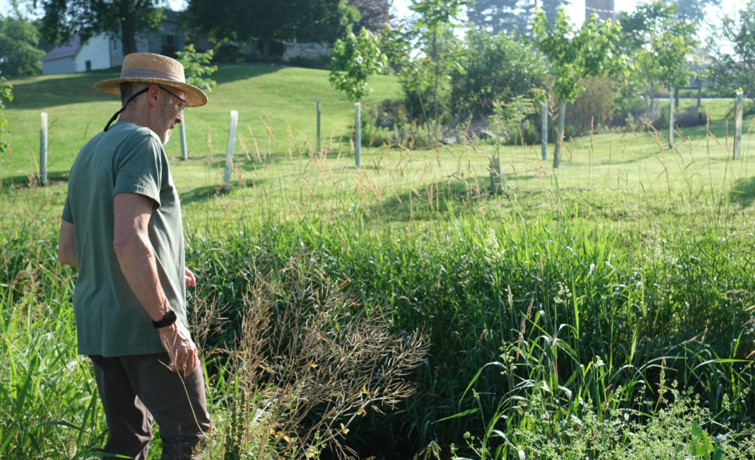 Mark Heller: Local agriculture operator making a difference