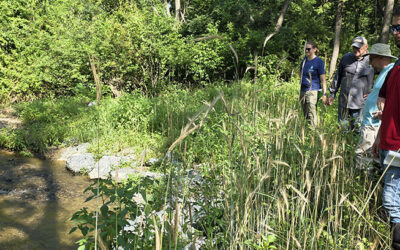 2025 Clean Water Fund Small Grant Awardees