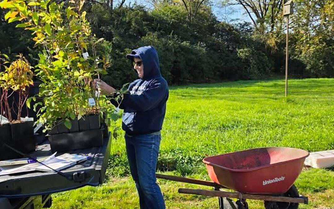 Featherbranch Planting Project