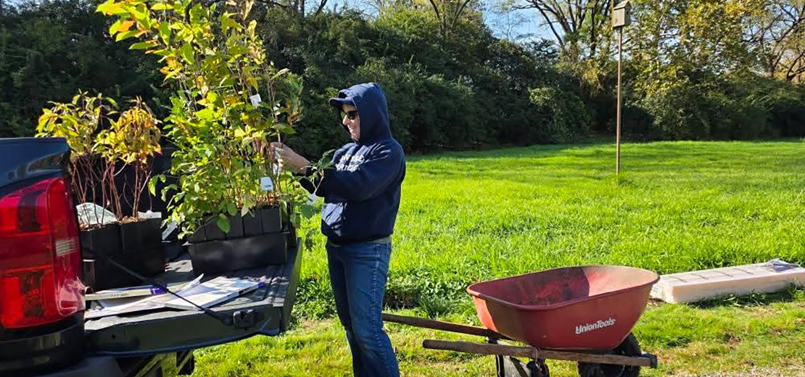 Featherbranch _page header