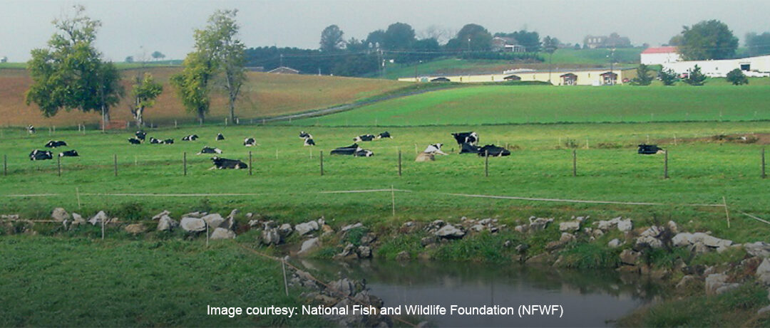 Funding Opportunities