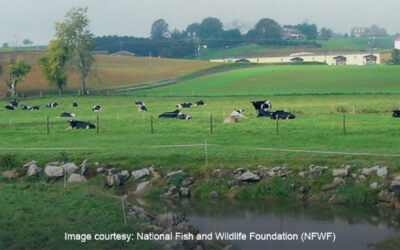 Funding Opportunities