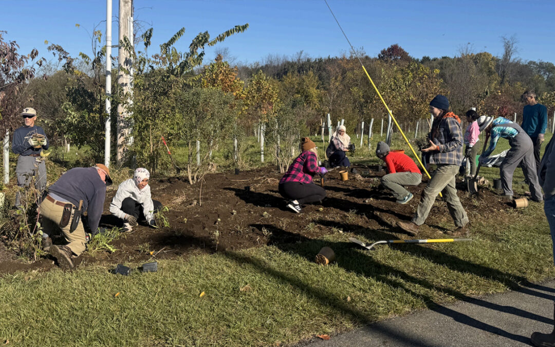 Educational Enhancement of Stroud Water Research Buffer planting at Overlook Park