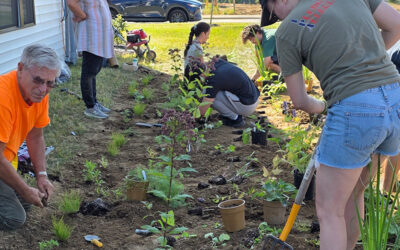 Village Rain Garden Project